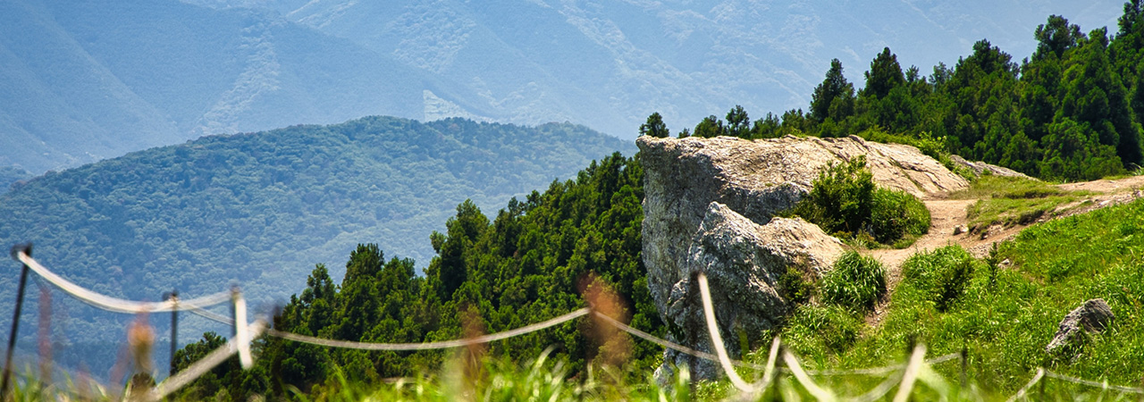 和歌山県紀美野町