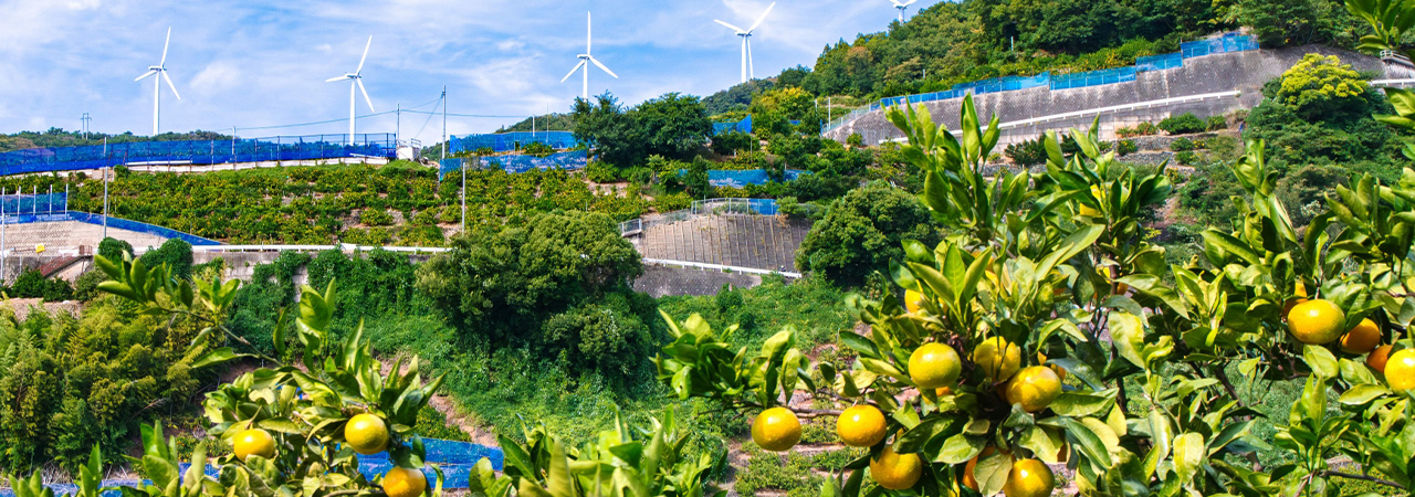 和歌山県有田市
