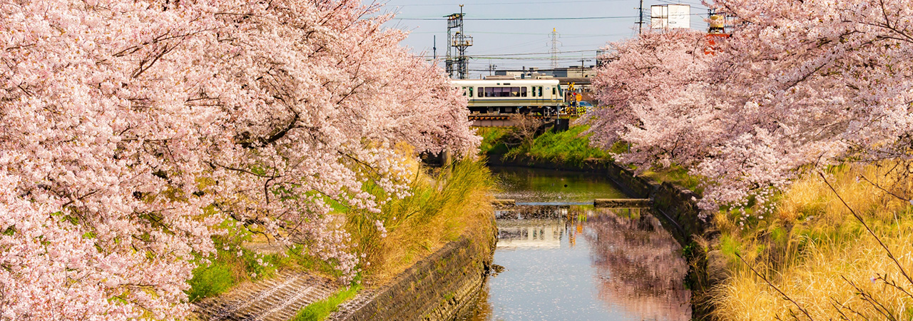 奈良県大和高田市