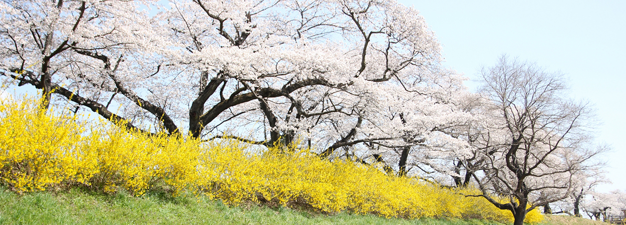 宮城県大河原町
