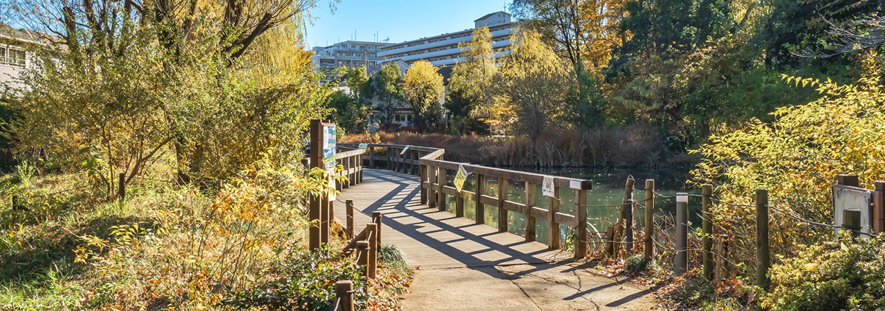東京都国分寺市