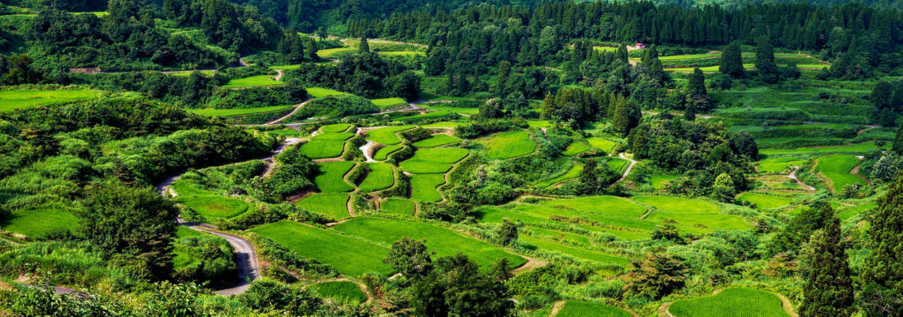 新潟県十日町市