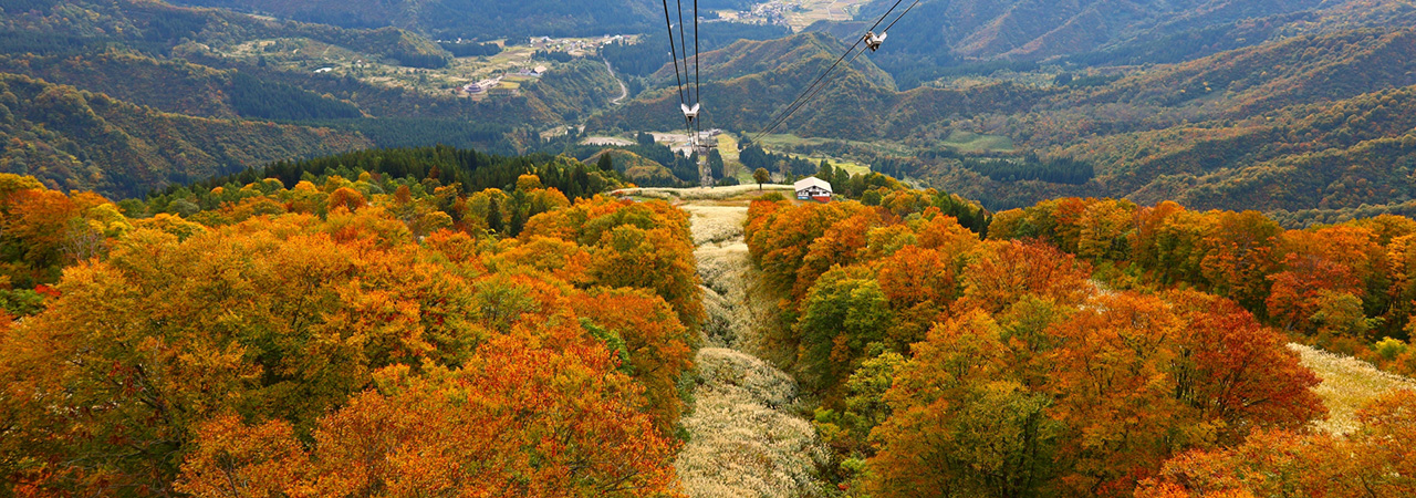 新潟県南魚沼市