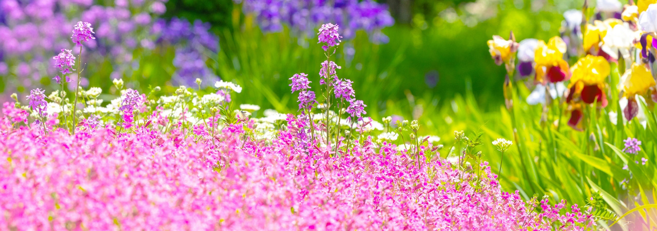 長野県南箕輪村