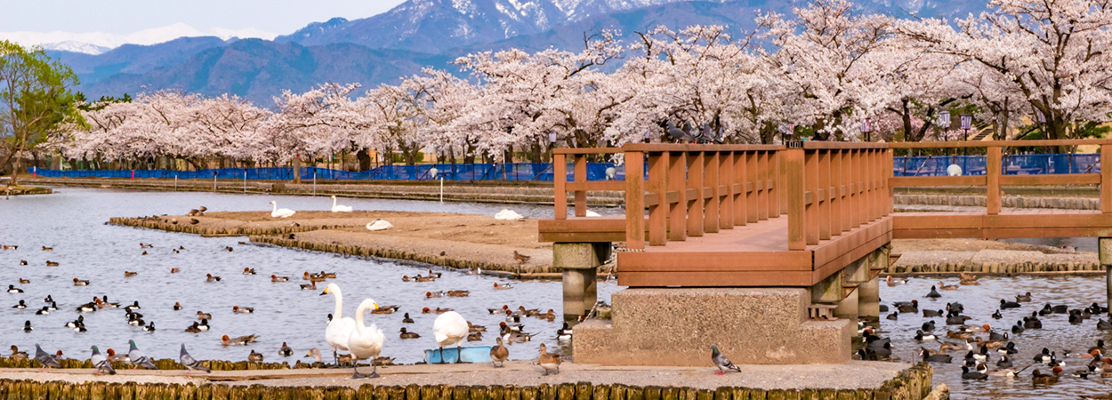 新潟県阿賀野市