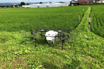 プロジェクト概要