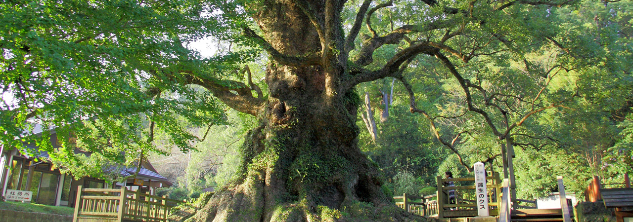 鹿児島県姶良市