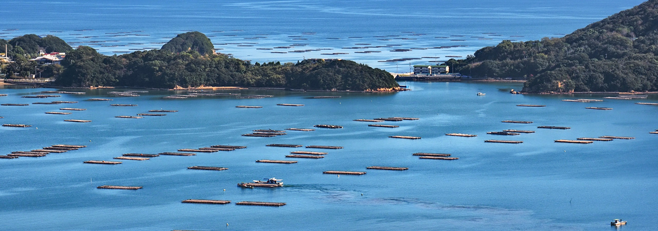 岡山県瀬戸内市