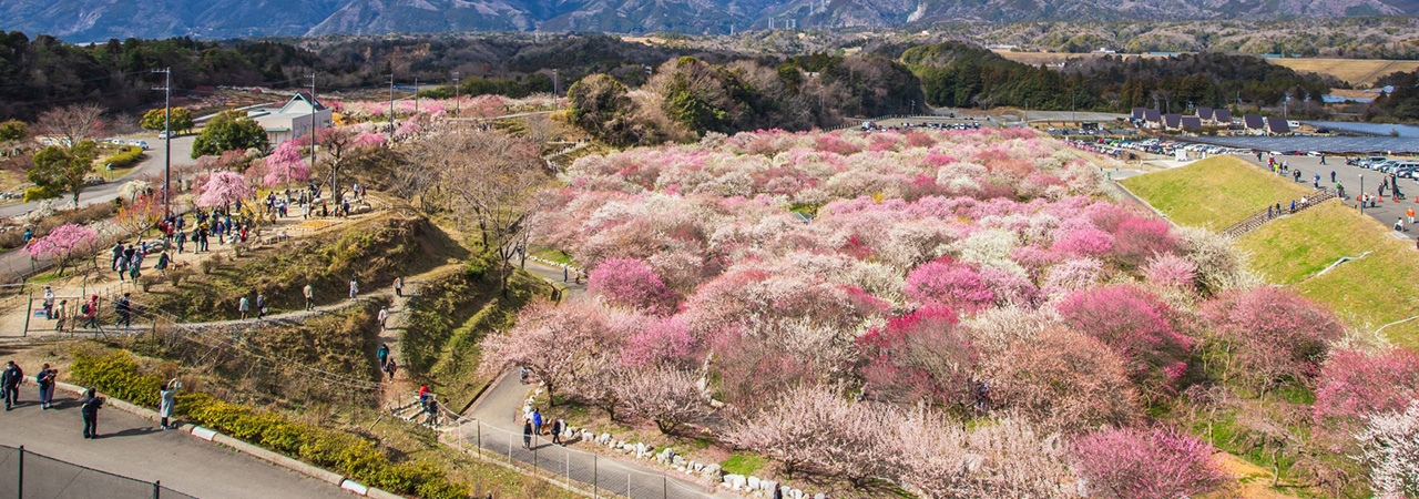 三重県いなべ市