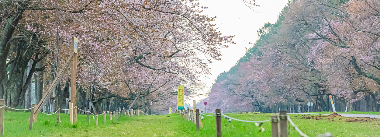 北海道新ひだか町