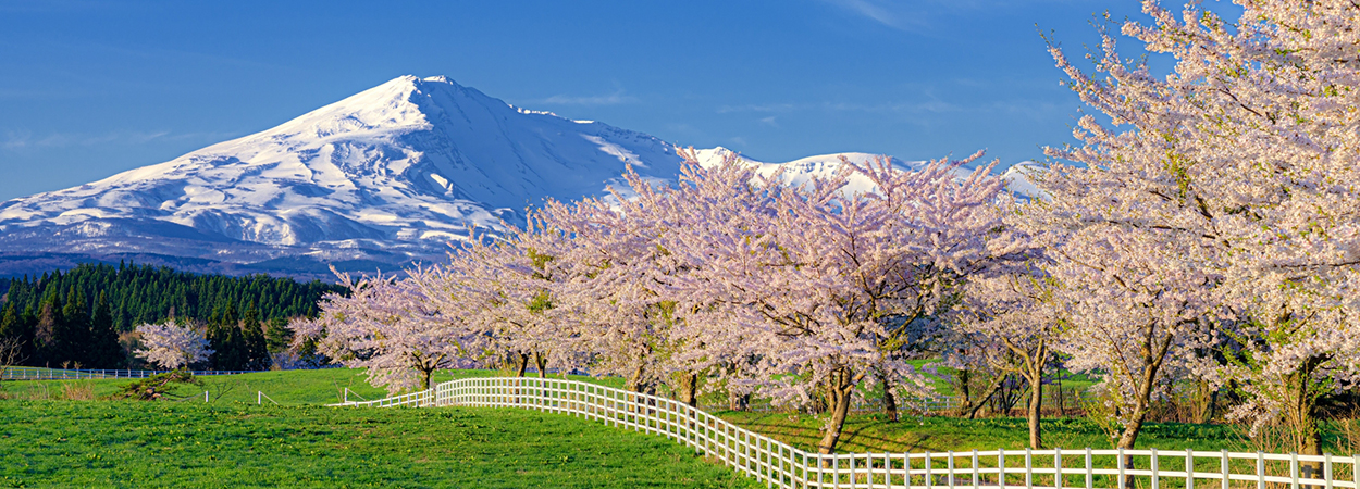 秋田県由利本荘市