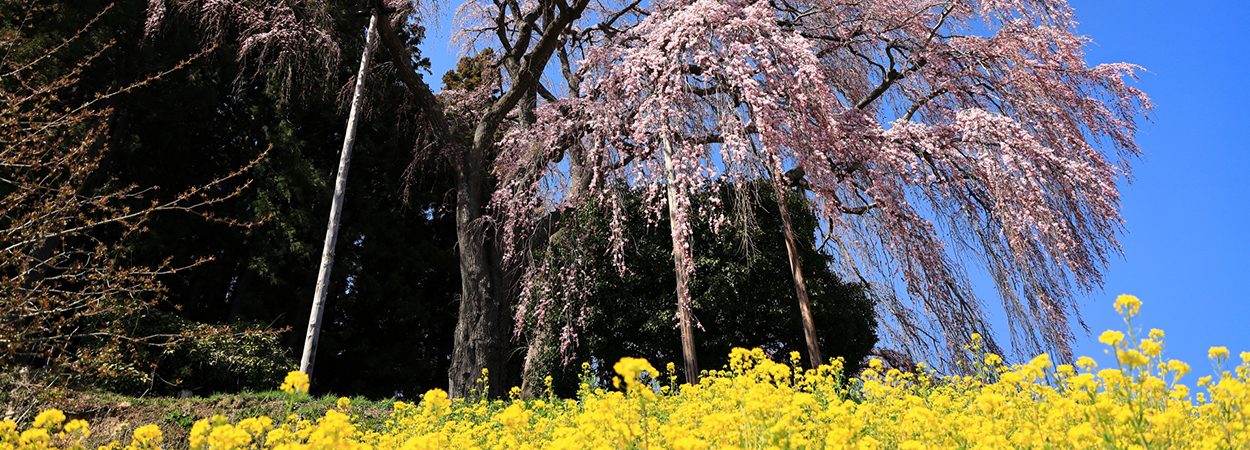 福島県二本松市