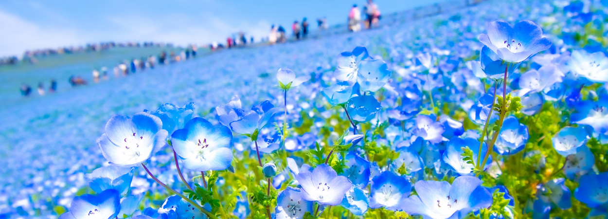 茨城県ひたちなか市