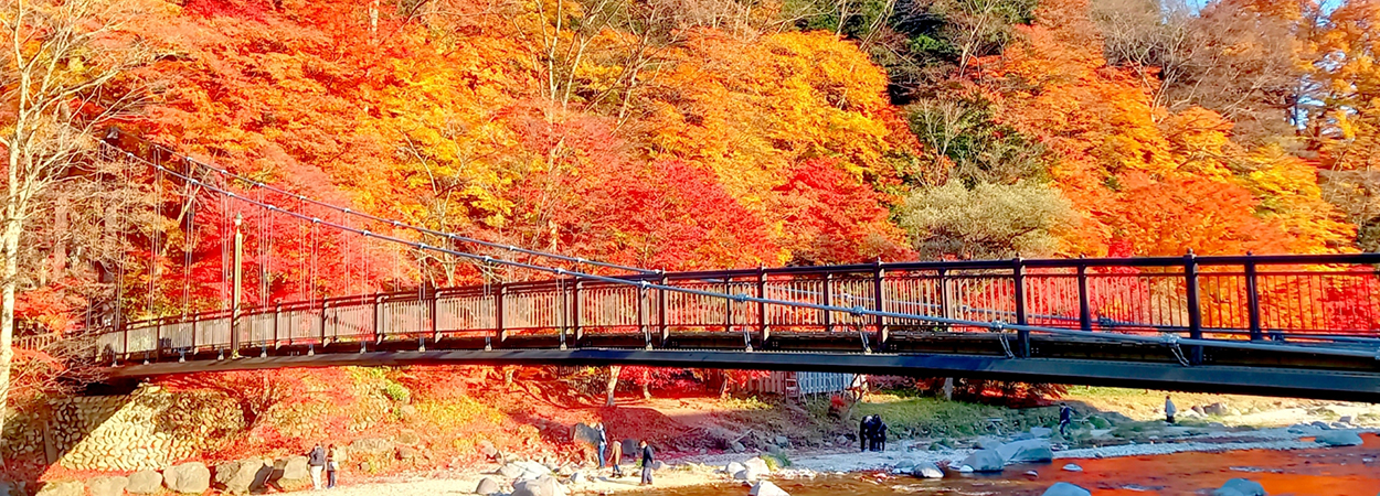 栃木県那須塩原市