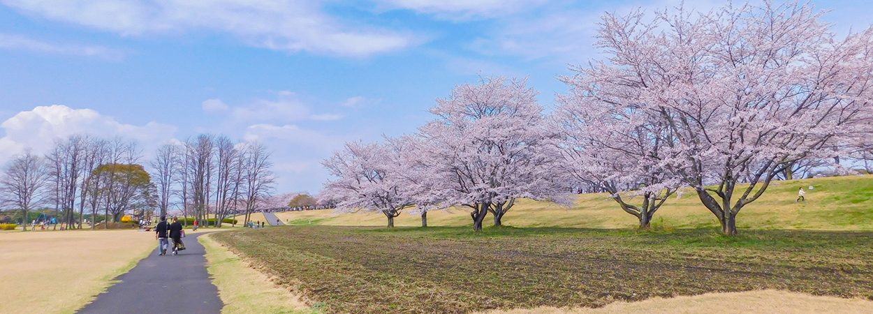 栃木県さくら市