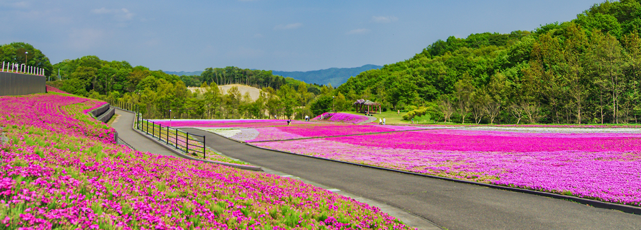 栃木県茂木町