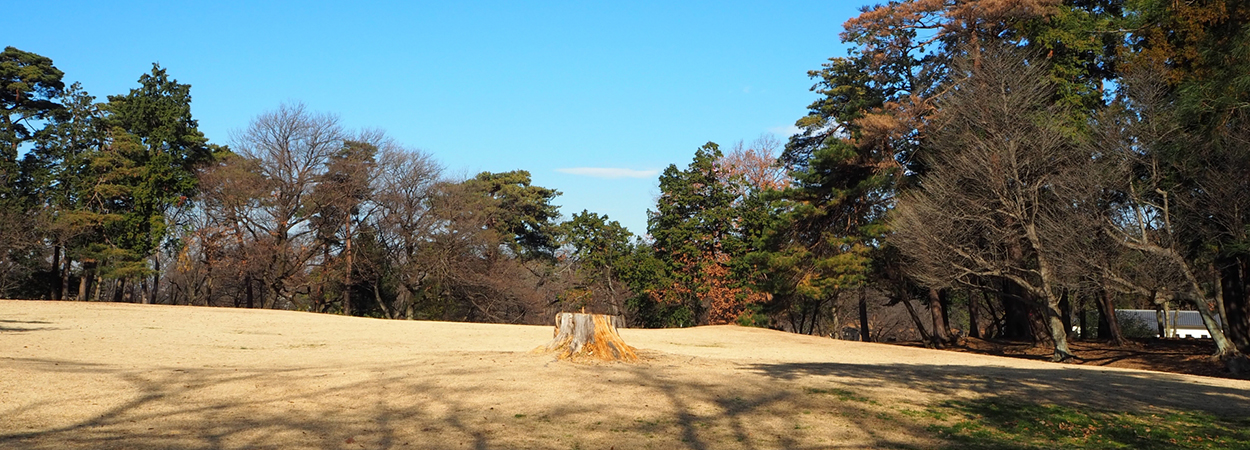 埼玉県狭山市