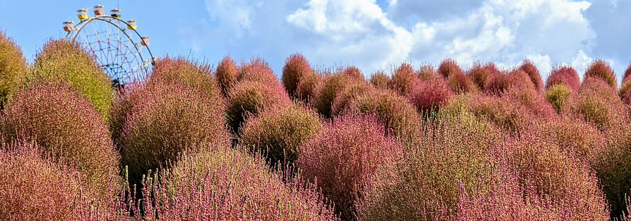 千葉県袖ケ浦市