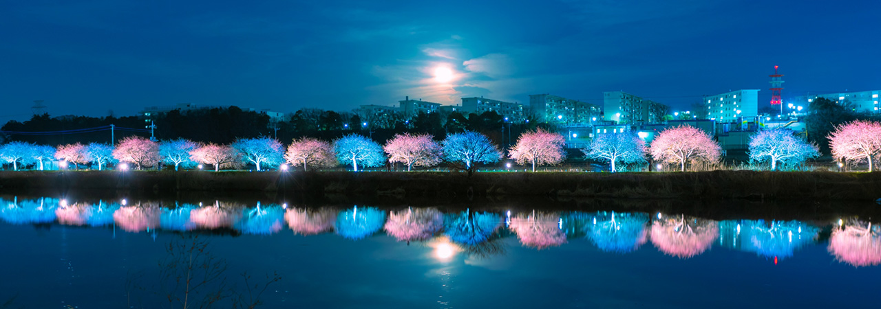 千葉県八千代市