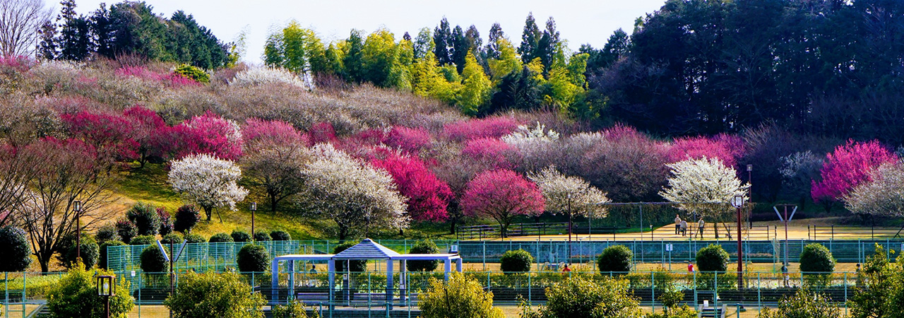 神奈川県南足柄市