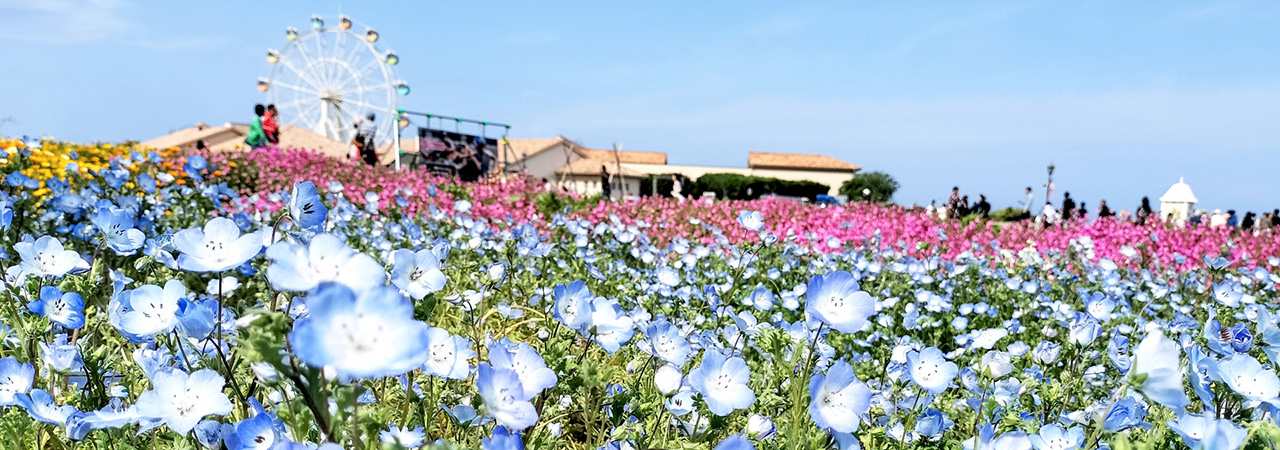 神奈川県横須賀市