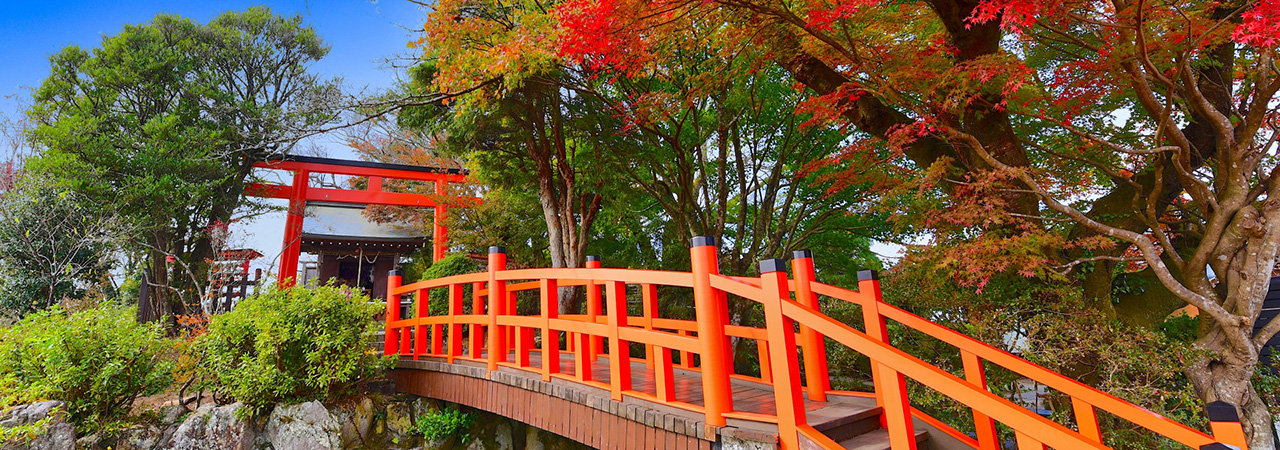 静岡県伊豆の国市