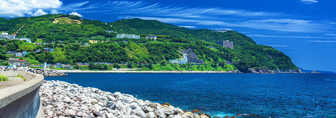 静岡県東伊豆町