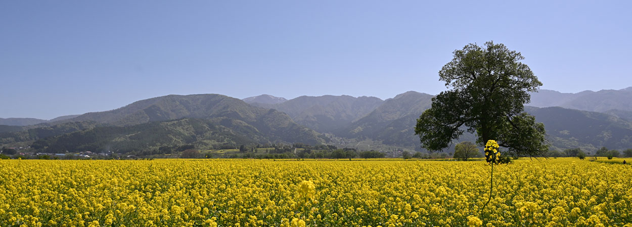 長野県飯山市