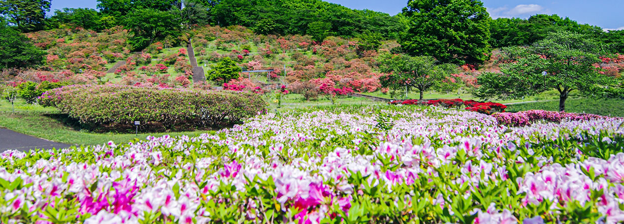 栃木県矢板市