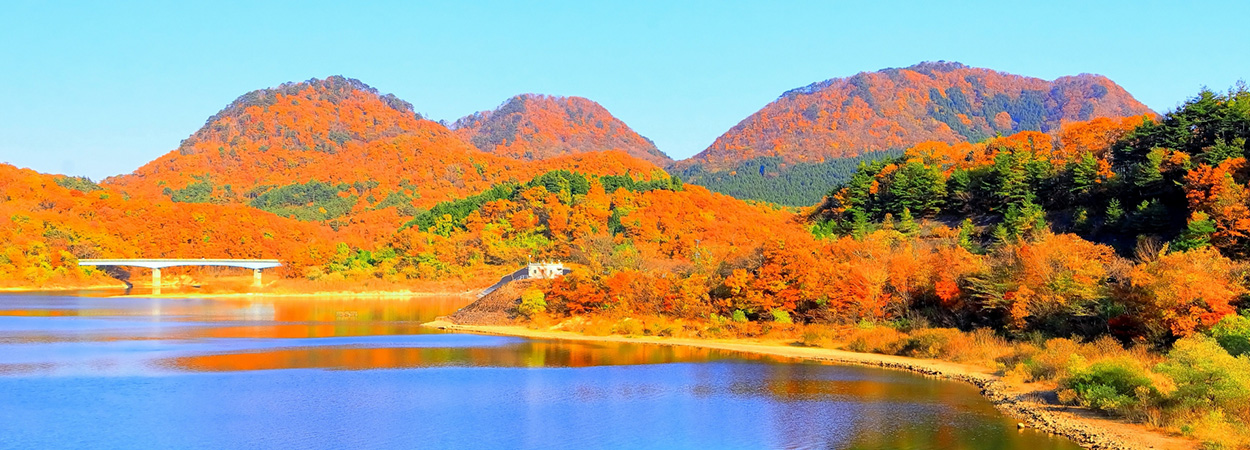 宮城県大和町