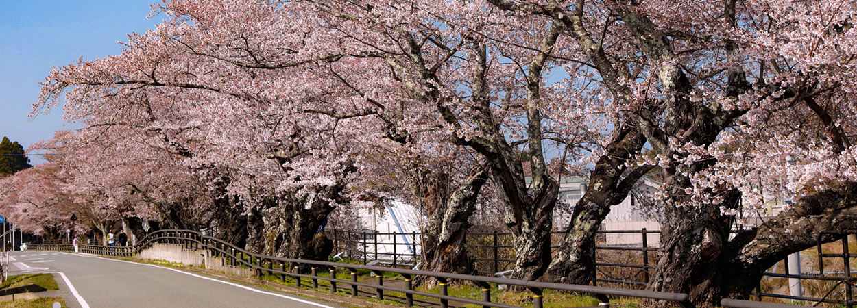 福島県富岡町