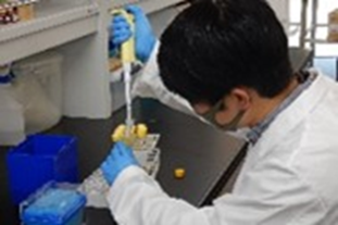 プロジェクト概要