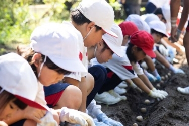 寄附金の使い道