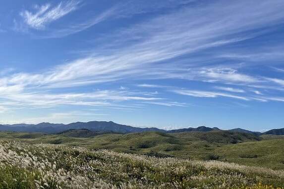なぜ寄附を募るのか