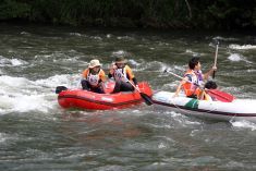 プロジェクトのポイント