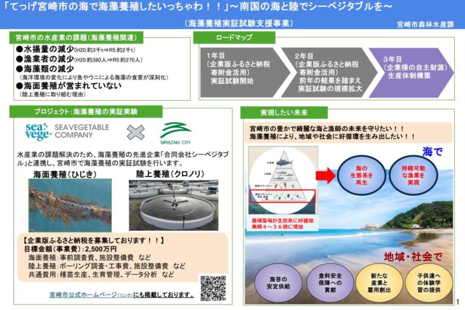 プロジェクト概要