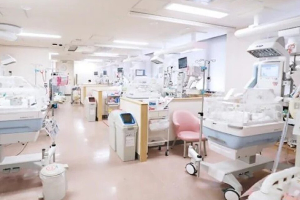 プロジェクト概要