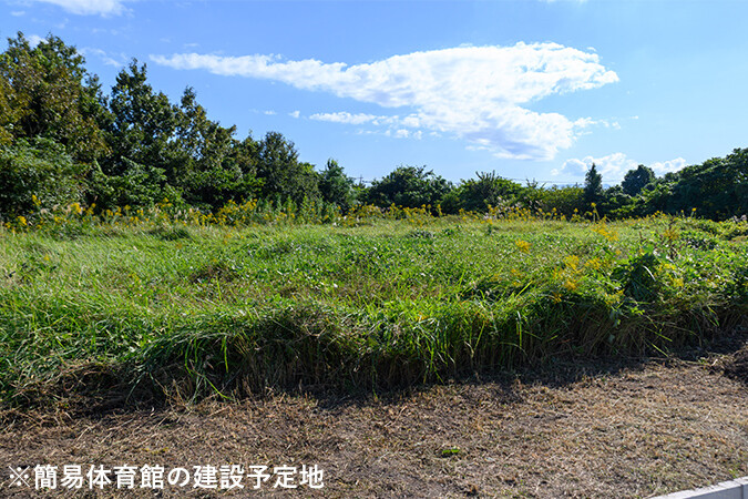 プロジェクト概要