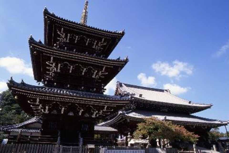 プロジェクト概要