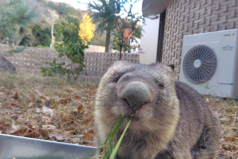 プロジェクト概要