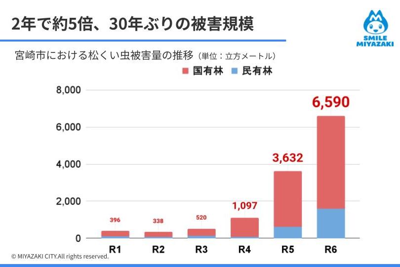 プロジェクト概要