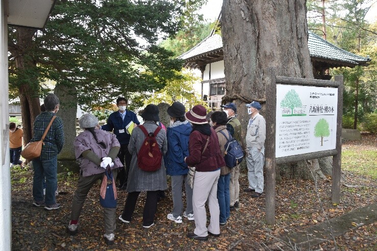 事業の具体的な内容