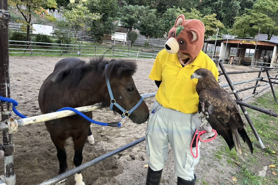 メッセージ