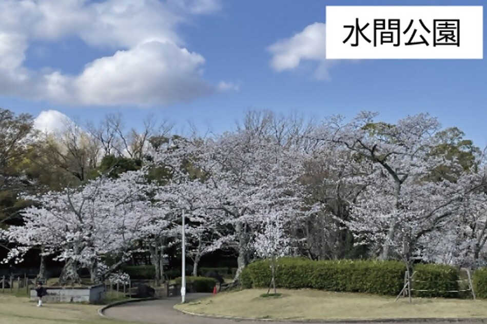 プロジェクト概要