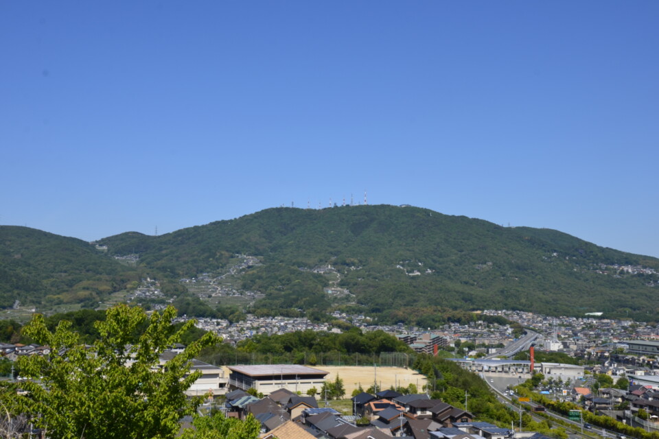 プロジェクト概要