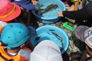 プロジェクト概要