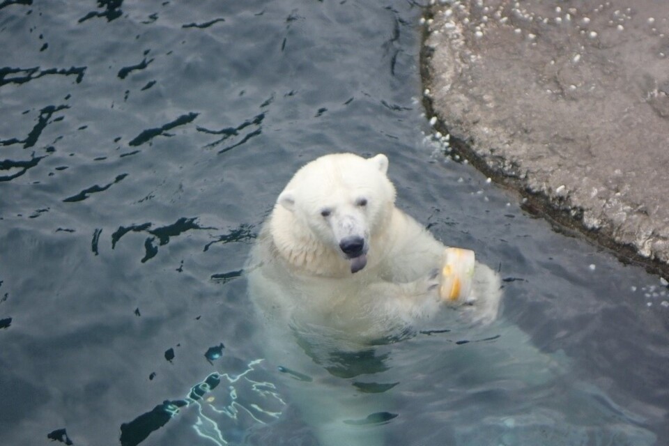 なぜ寄附を募るのか