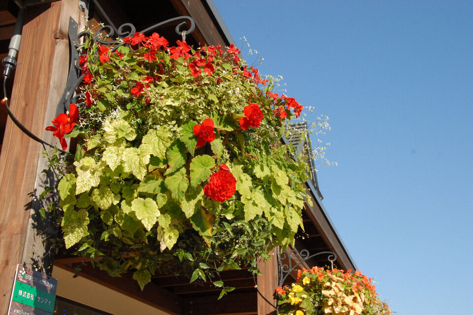 「えにわっか」の取組